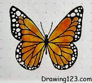 Butterfly Drawing Idea 16 piirustus