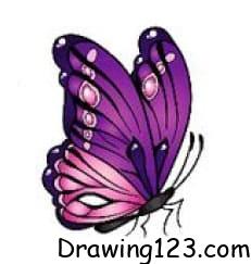 Butterfly Drawing Idea 18 piirustus