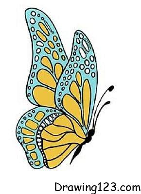 Butterfly Drawing Idea 19 piirustus