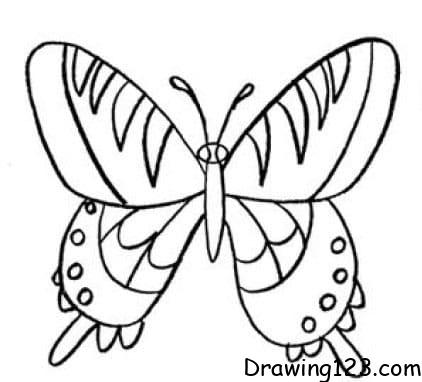 Butterfly Drawing Idea 20 piirustus