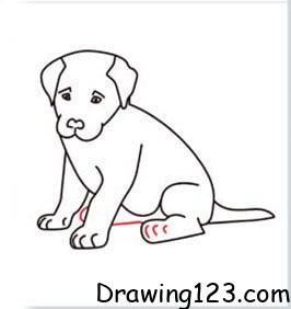 Dog Drawing Idea 16 piirustus