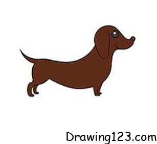 Dog Drawing Idea 20 piirustus