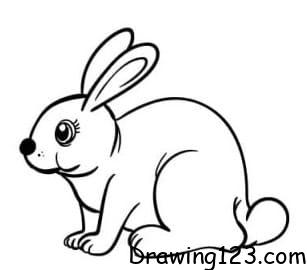 Rabbit Drawing Idea 13 piirustus