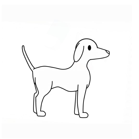 dog-draw-step-14 piirustus