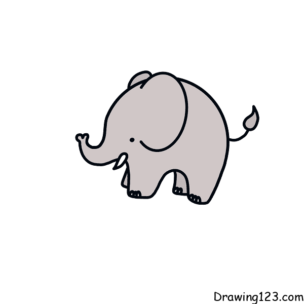 elephant-drawing-step-9 piirustus