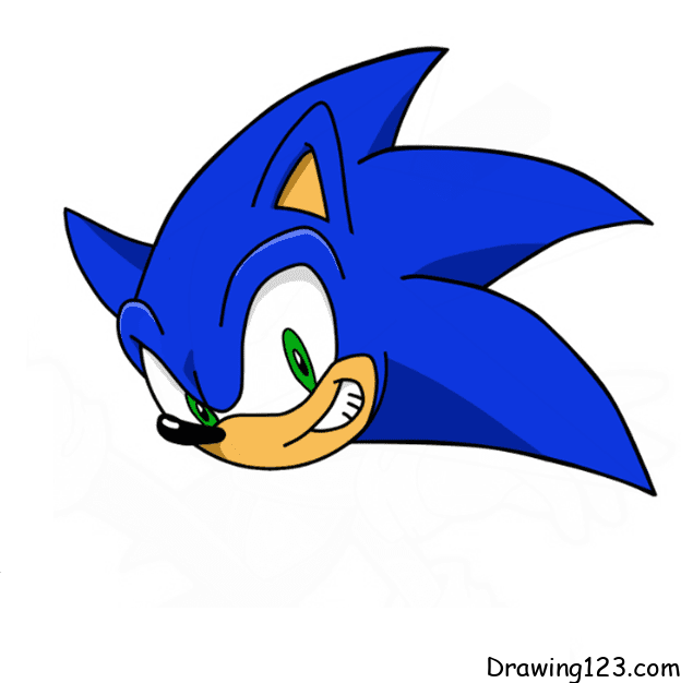 sonic-drawing-step-15 piirustus