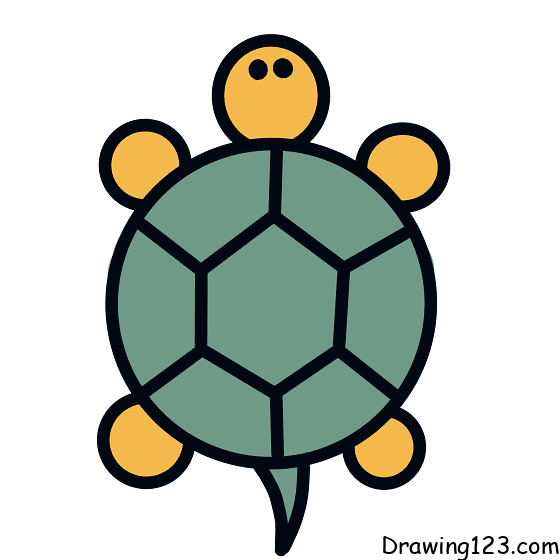 turtle-drawing-step-7 piirustus