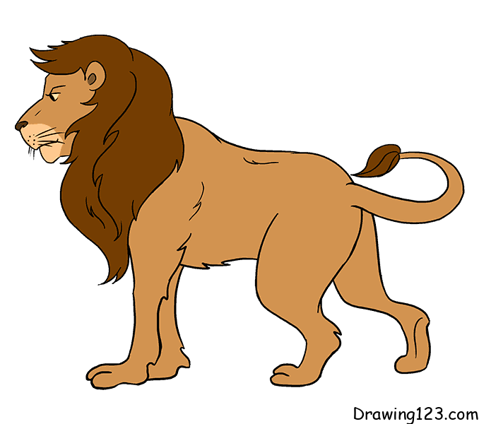 Lion-drawing-step-16-1 piirustus