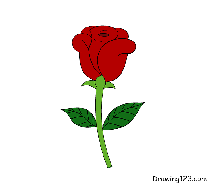 Rose-drawing-step-18 piirustus