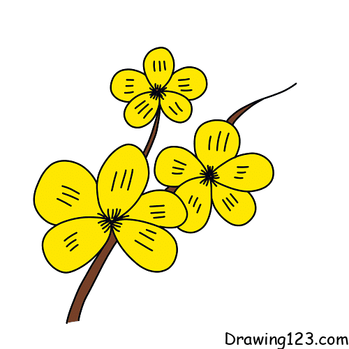 apricot-flowers-drawing-step-4-1 piirustus