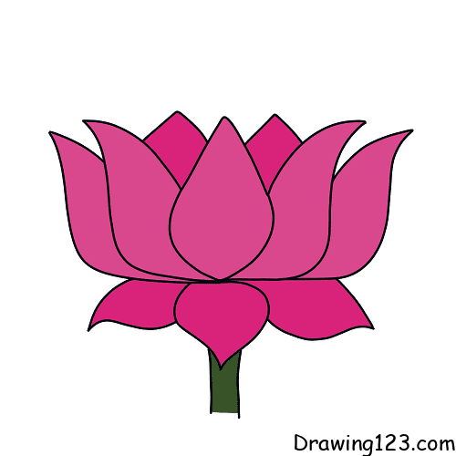 lotus-flower-drawing-step-4-1 piirustus