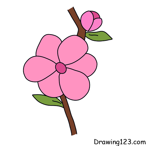 peach-blossom-drawing-step-8 piirustus