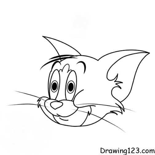 cat-tom-drawing-step-11 piirustus