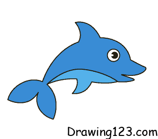 dolphin-drawing-step-8 piirustus