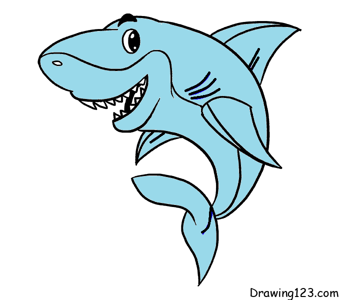 drawing-shark-step-11 piirustus