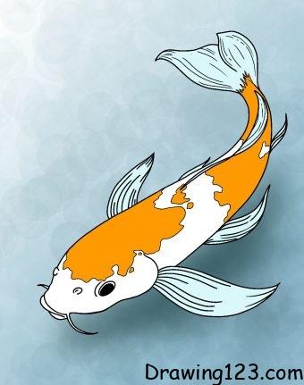 koi-fish-drawing-step-9 piirustus