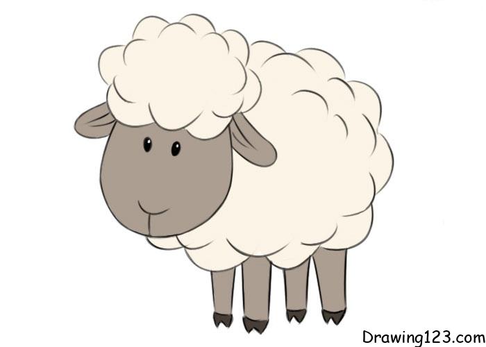 sheep-drawing-step-9 piirustus