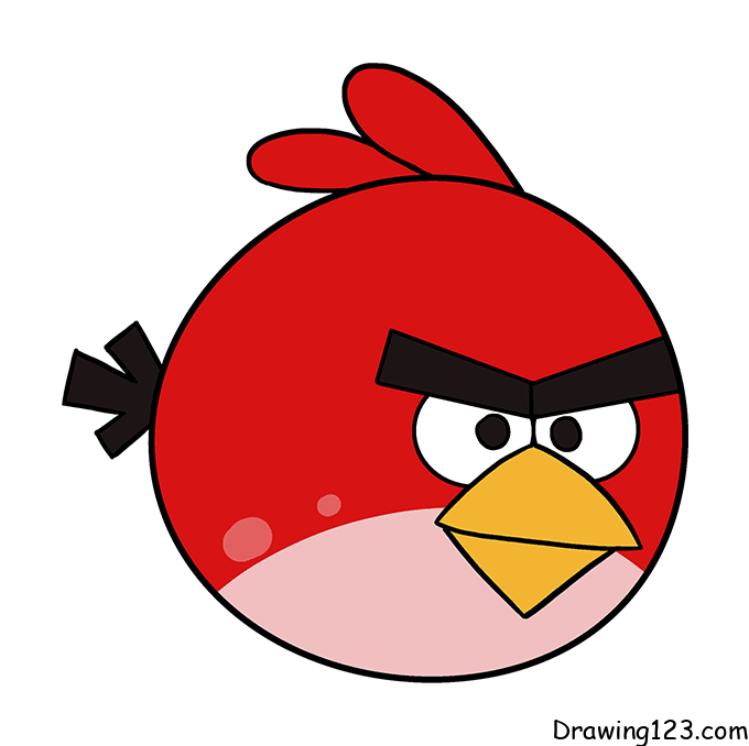 Angry-Bird-drawing-step-8 piirustus