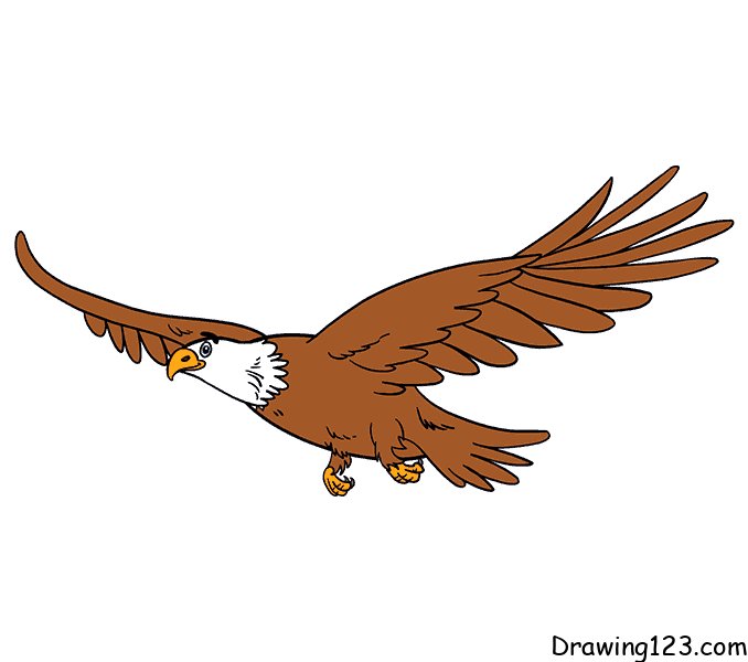 Eagle-drawing-step-11-1 piirustus