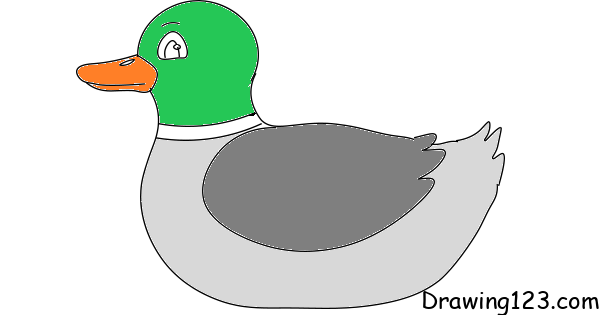 duck-drawing-step-9 piirustus