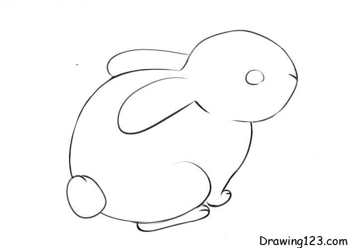 Rabbit-drawing-step-8 piirustus