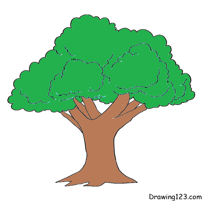 Puu piirustus
