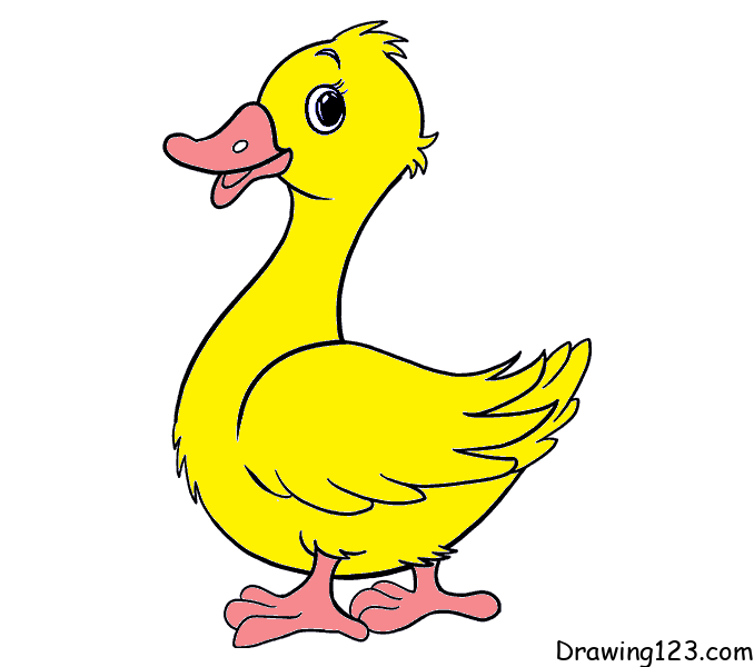 duck-drawing-step-9 piirustus