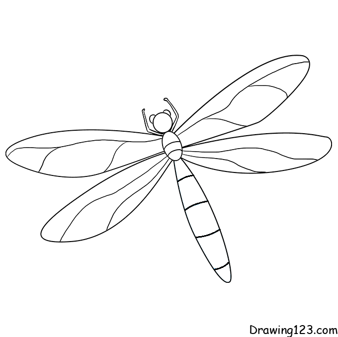 Dragonfly-drawing-step-7 piirustus