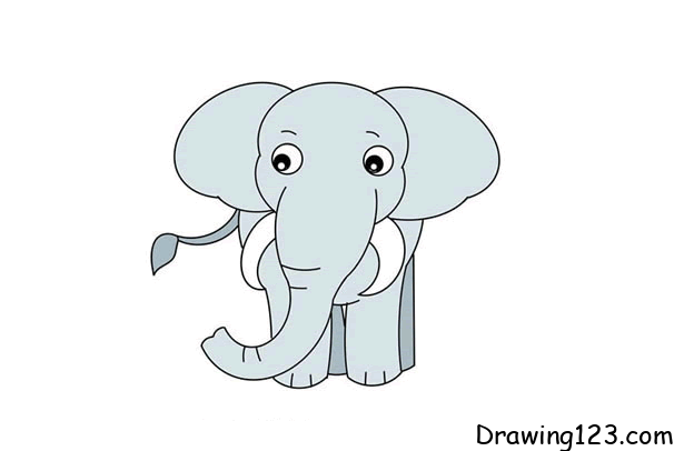 Elephant-drawing-step-8 piirustus