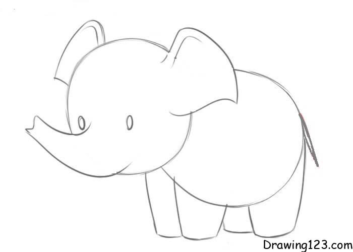 elephant-drawing-step-8 piirustus