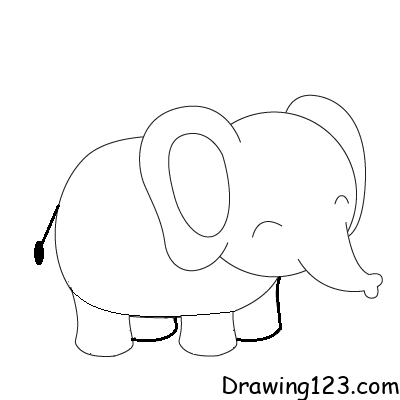 elephant-drawing-step-9 piirustus