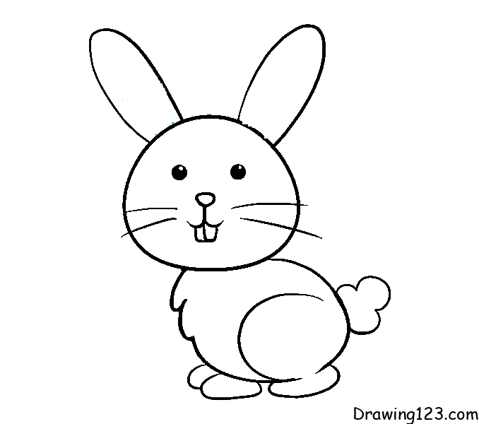 rabbit-drawing-step-7 piirustus