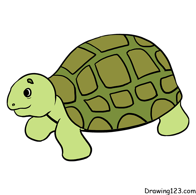 turtle-drawing-step-7 piirustus