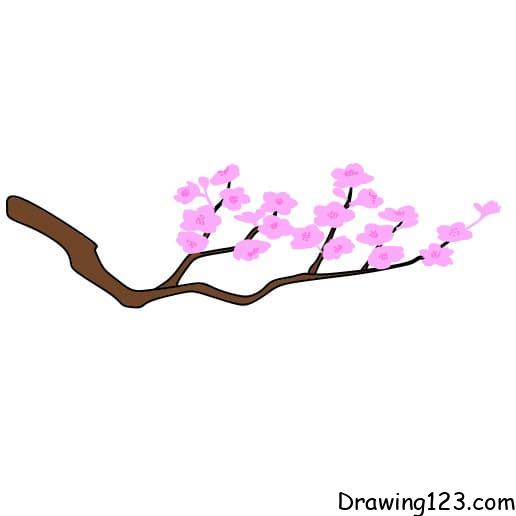 Drawing-Cherry-Blossom-step4 piirustus