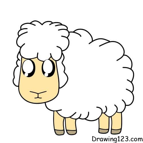 Drawing-sheep-step8-4 piirustus