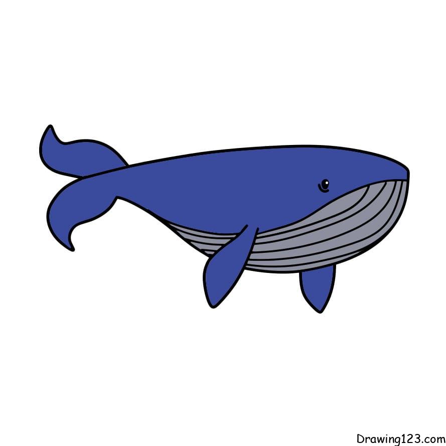 Drawing-whale-step6-1 piirustus