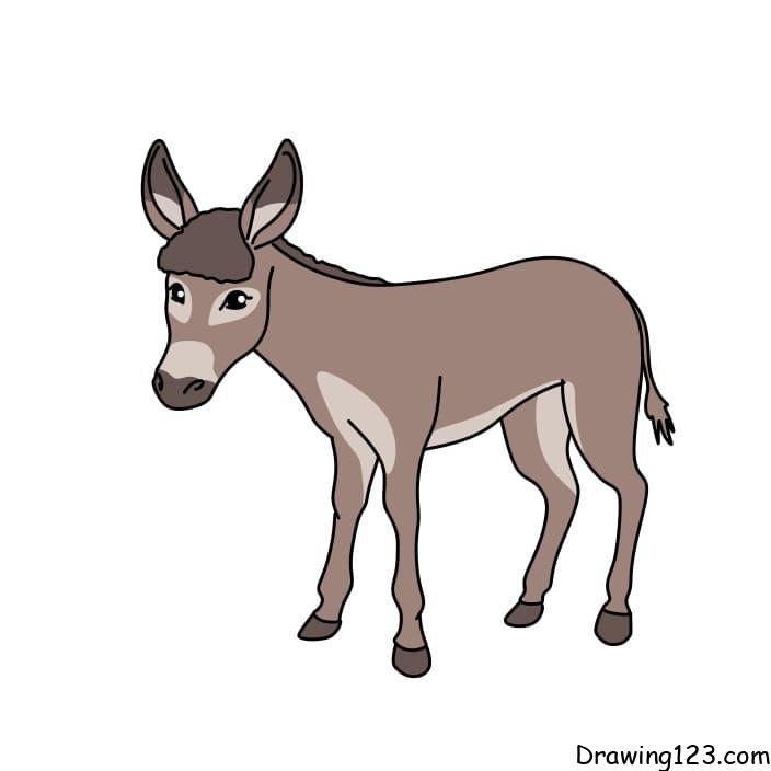 draw-donkey-steps-9-3 piirustus