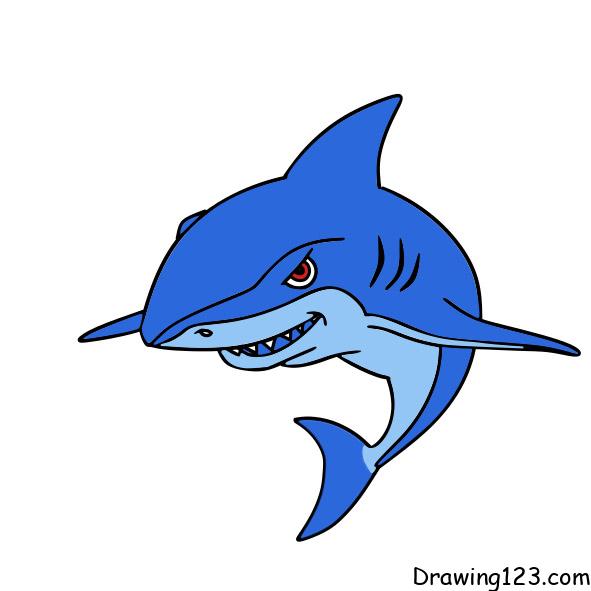 drawing-shark-step-10-1 piirustus