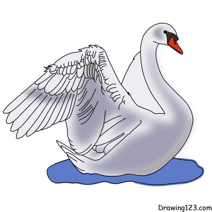 drawing-swan-step-17 piirustus