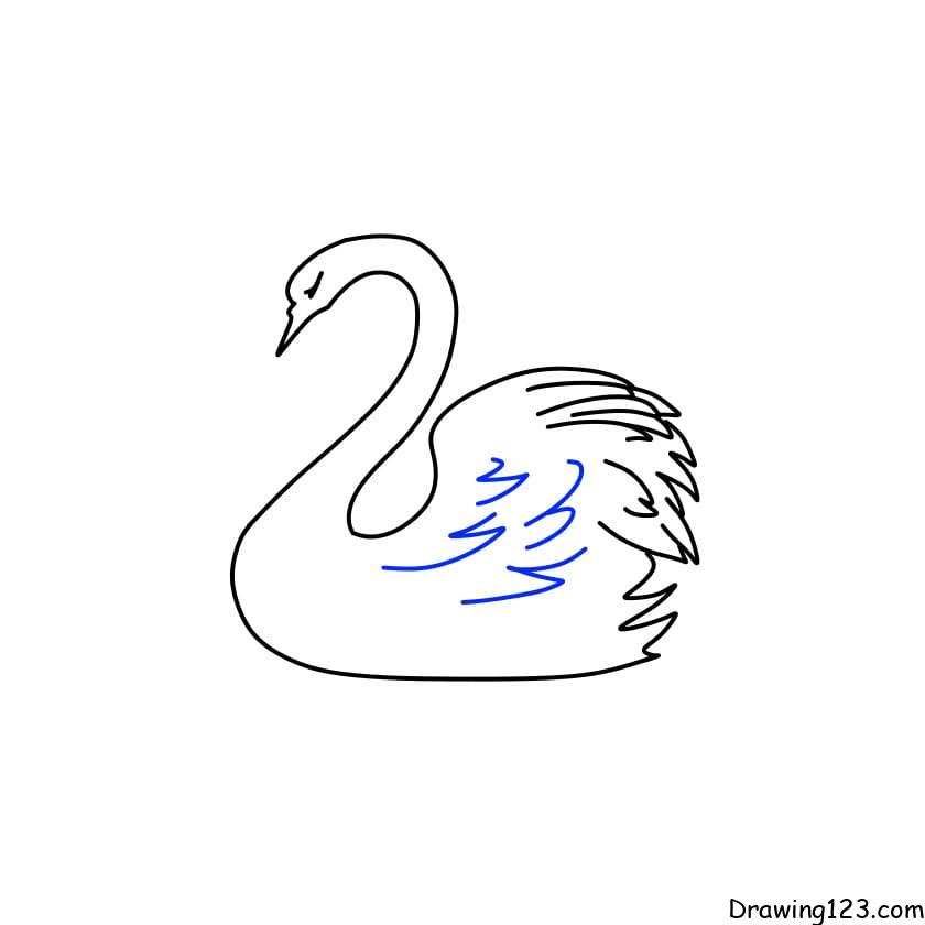 drawing-swan-step-8-1 piirustus