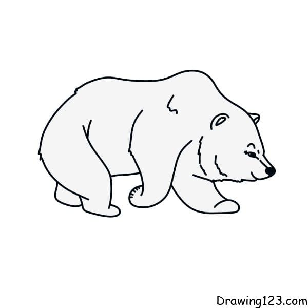 drawing-polar-bear-step9-1 piirustus