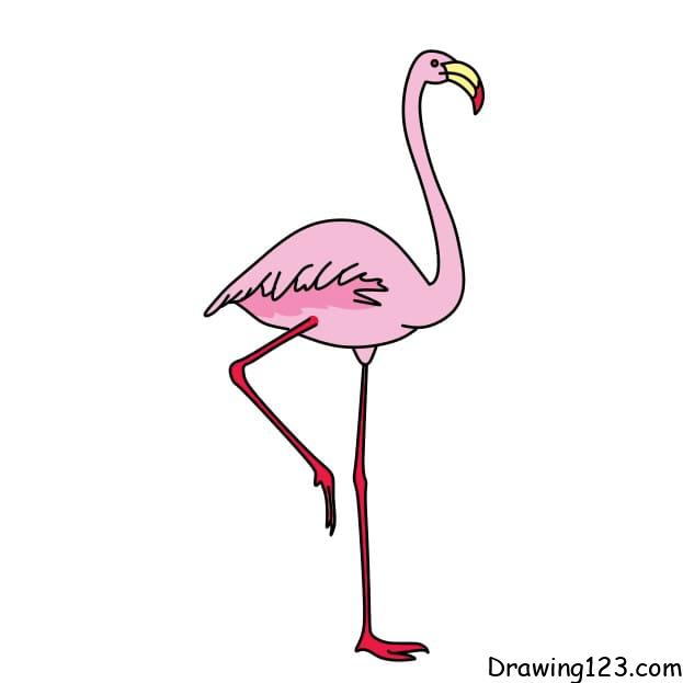 Drawing-a-flamingo-step-7-4 piirustus