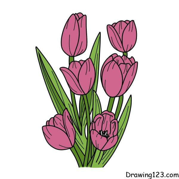 Drawing-Tulips-step-11 piirustus