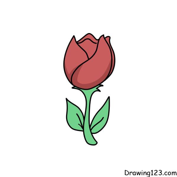 Drawing-Tulips-step-6-1 piirustus