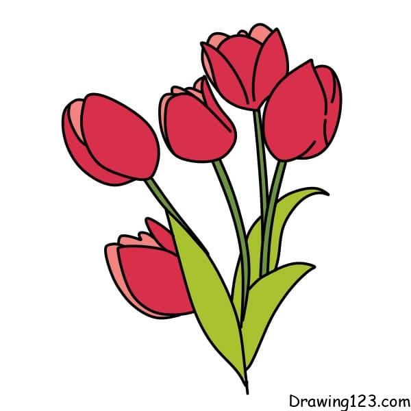 Drawing-Tulips-step-6-3 piirustus