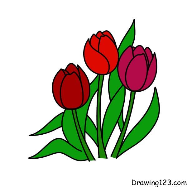 Drawing-Tulips-step-7-1 piirustus