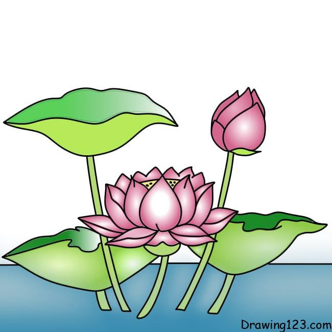 drawing-lotus-flower-step-11-1 piirustus