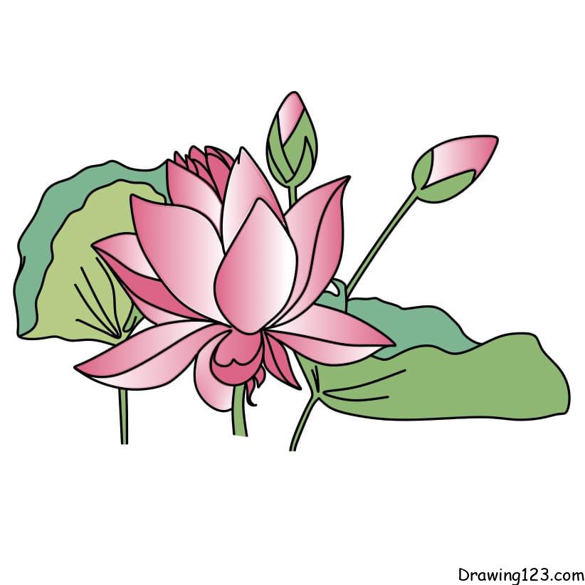 drawing-lotus-flower-step-8-1 piirustus