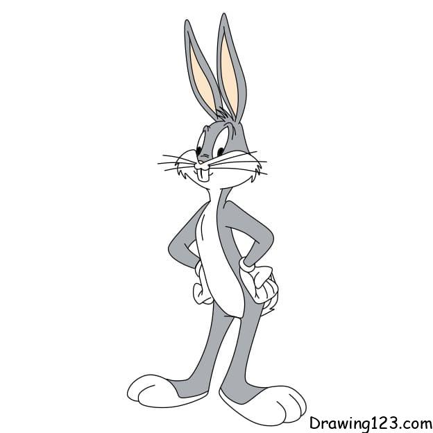 how-to-draw-bugs-bunny-step-12 piirustus