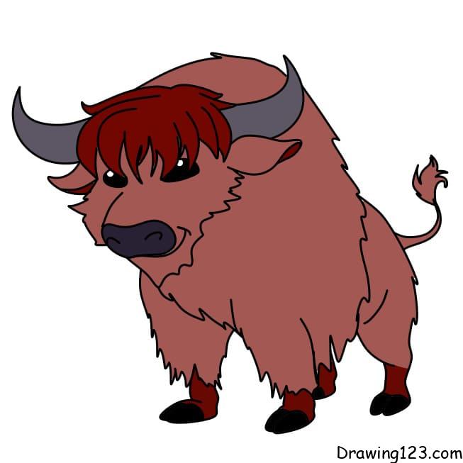 how-to-draw-yak-step-10-2 piirustus